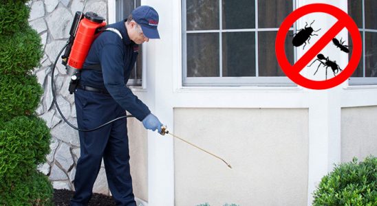 Tepebaşı Bit İlaçlama böcek ilaçlama ve haşere kontrolü — ilaclama-tr.com